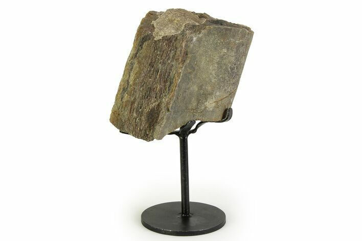 Fossil Sauropod Rib Section with Metal Stand - Colorado #354332